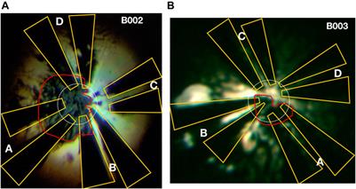 Hot Hydride Superconductivity Above 550 K
